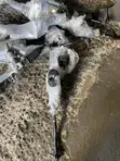 Honda Civic Steering Rack (2017-2023) - Used Korea/Japan - 3