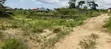 Plot of Land for Sale - Amasaman Danchira - 3