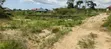Plot of Land for Sale - Amasaman Danchira - 4