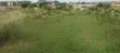 Residential Plot for Sale - Amasaman Danchira - 3