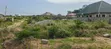 One Plot of Land for Sale in Amasaman - 2