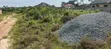 One Plot of Land for Sale in Amasaman - 3