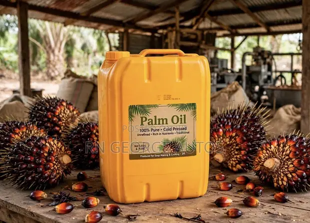 Pure Palm Oil for Soap Making - 25L - 1