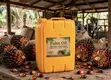 Pure Palm Oil for Soap Making - 25L - 1