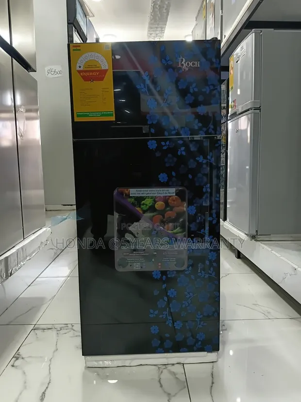 Roch Refrigerator - Low Noise, Energy Saving - 1