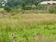 Residential Land for Sale at Ashalaja - 4