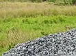 Residential Land for Sale at Ashalaja - 5