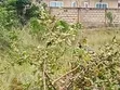 Land for Sale at Oyibi, Mensaba - 1