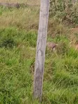 Land for Sale at Oyibi, Mensaba - 2