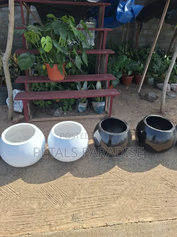 Brand New Round Flower Pots (White) - 1