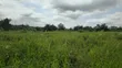 Plot of Land at Asouyeboah SSNIT Flat for Sale - 3