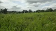 Plot of Land at Asouyeboah SSNIT Flat for Sale - 5