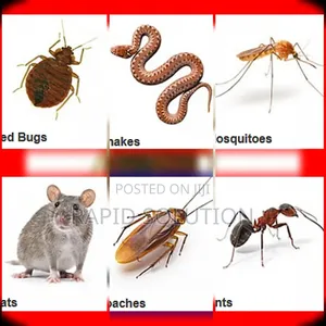 Pest Control: Snakes, Mosquitoes, Cockroaches, Bedbugs Specialist