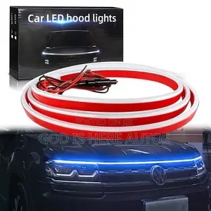 Universal LED Hood Light