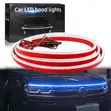 Universal LED Hood Light - 1