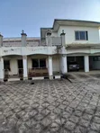 5 Bedroom Mansion for Rent in Amasaman - 1