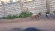 2 Plots of Land with Uncompleted Buildings for Sale in Tema Golf City - 4