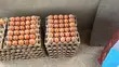 Quality Eggs from Duayaw Nkwanta - 1