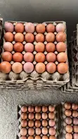 Quality Eggs from Duayaw Nkwanta - 2