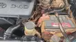 Toyota Hilux 2.5 D-4D 4x4 SRX 2010 Green - 3