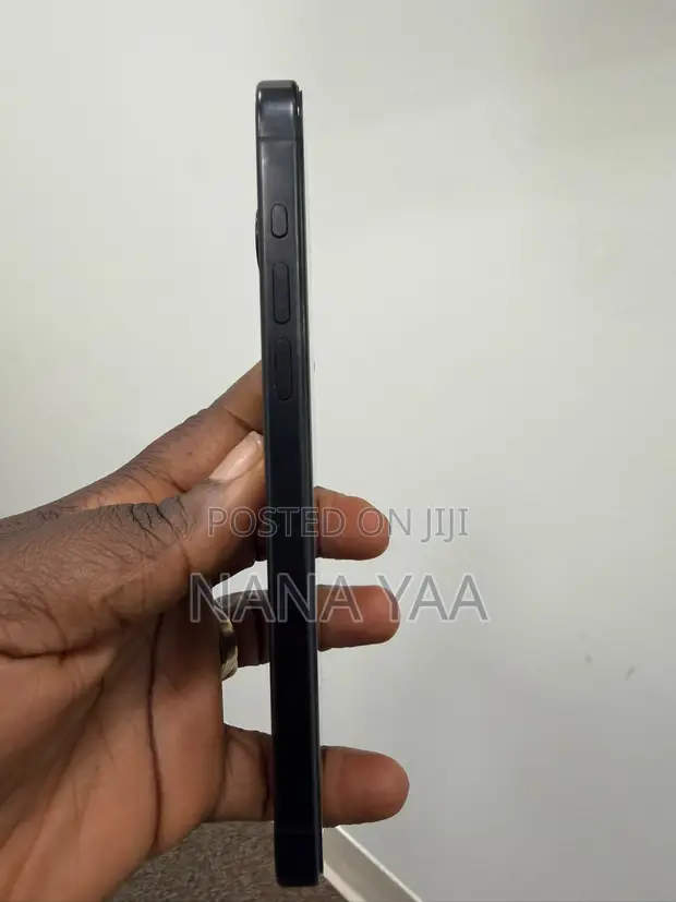 Apple iPhone 15 Pro Max 256GB Silver - 1