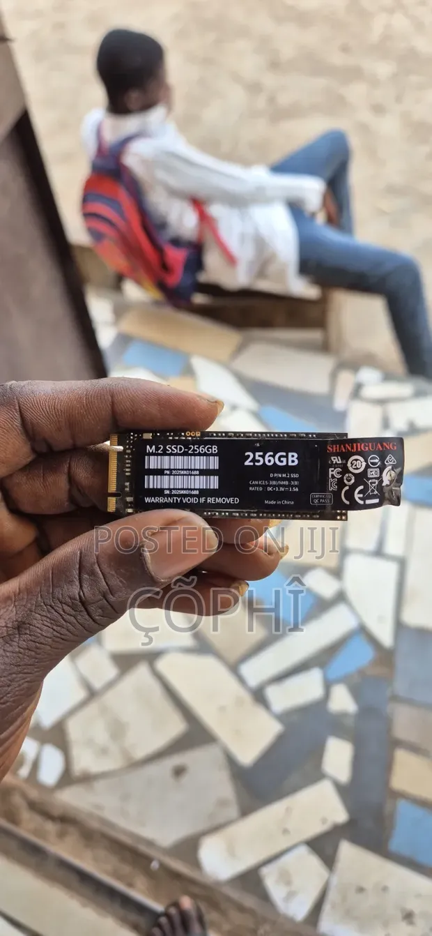 Shanjiguang M.2 SSD 256GB - 1