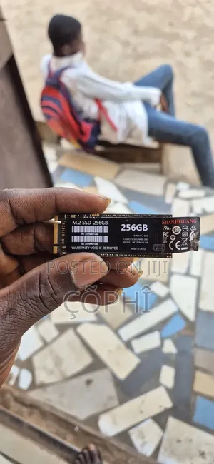 Shanjiguang M.2 SSD 256GB