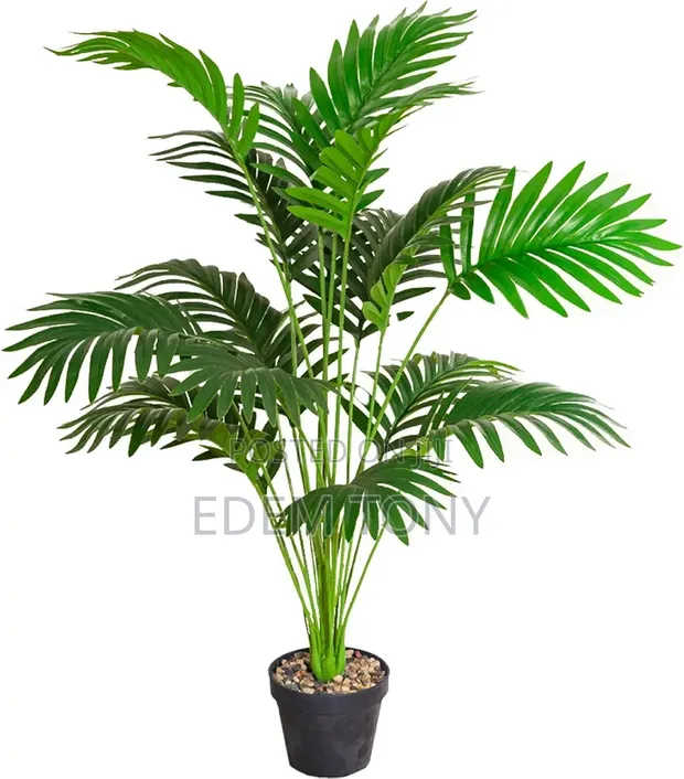 Artificial Areca Palm Tree - 49cm - 1
