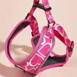 Midepet Pink Heart Print Dog Harness - 2