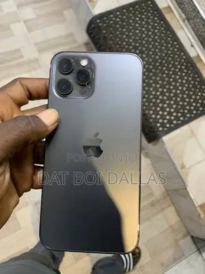 Apple iPhone 12 Pro Max 256GB Gray