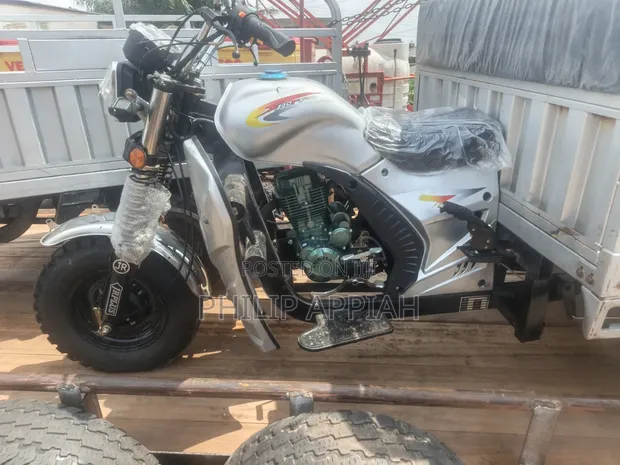 New Luojia Cargo Tricycle 2026 Gray - 1