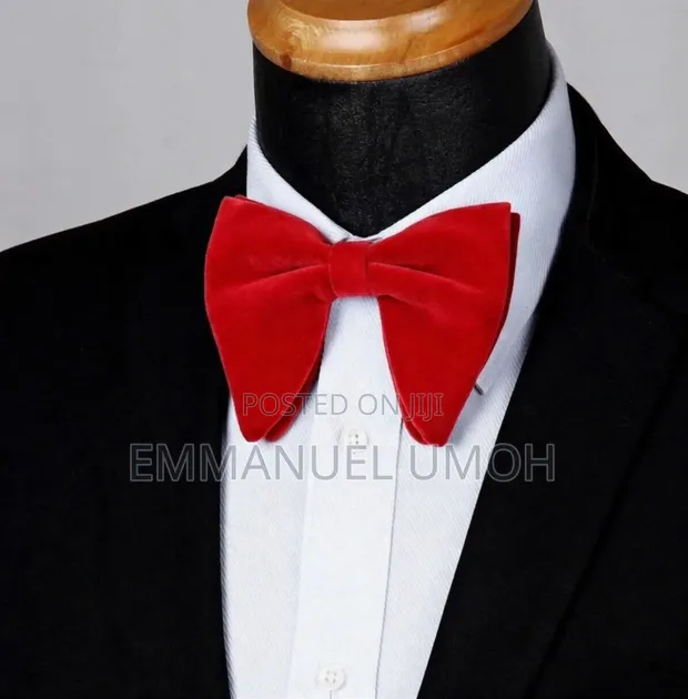 Classy Velvet Bow Tie - 1