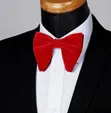 Classy Velvet Bow Tie - 1