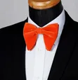 Classy Velvet Bow Tie - 2
