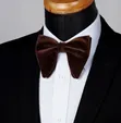 Classy Velvet Bow Tie - 4