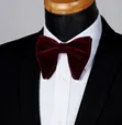 Classy Velvet Bow Tie - 5