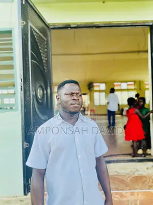 David Amponsah - Experienced Driver CV