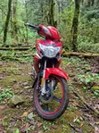 Apsonic AP110 2026 Red - 4