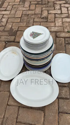 35 Piece Dinner Plate Set