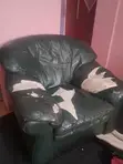 Used Three-in-One Chair and Single Sofa - 4