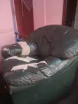Used Three-in-One Chair and Single Sofa - 5