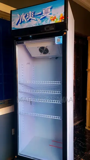 388L Cooling & Frost Free Single Glass Door Display Fridge