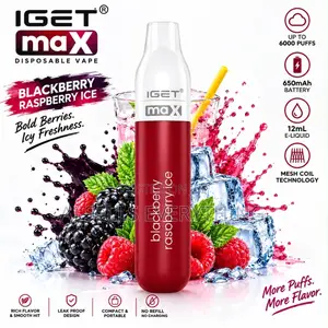 Iget Max Pod Vape - 2300 Puffs