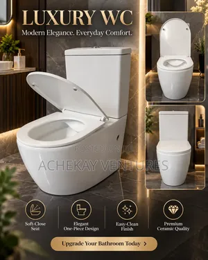 Luxury Water Closet (WC) - Two-Piece Dual Flush