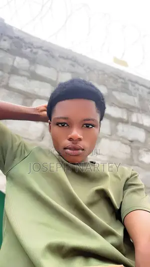 Housekeeping & Cleaning CV - Joseph Nartey