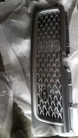Range Rover Sport 2012 Front Grille - 1