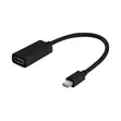 Mini DisplayPort to DisplayPort Adapter Cable - 2
