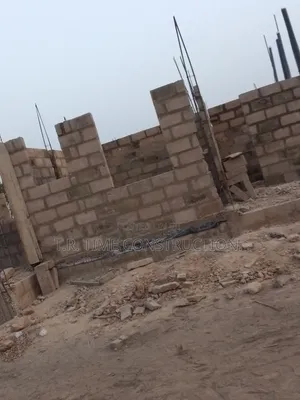 Professional Building Construction & Renovation Services