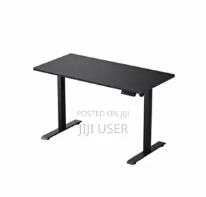 Electric Sit/Stand Desk - 2 Months Old