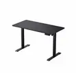 Electric Sit/Stand Desk - 2 Months Old - 1